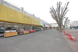 apartment 松戸市小金原6-13ほか

住棟配置図