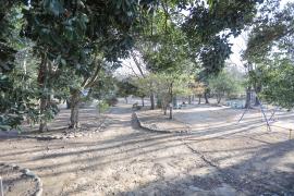 apartment 松戸市常盤平2ほか

住棟配置図