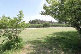 apartment 習志野市袖ケ浦2ほか

住棟配置図