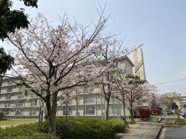 apartment 北九州市小倉南区志徳1丁目1番

住棟配置図