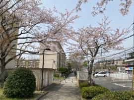 apartment 北九州市小倉南区志徳1丁目1番

住棟配置図