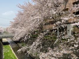 apartment 北九州市小倉南区志徳1丁目1番

住棟配置図