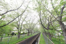 apartment 取手市井野2-3-30

住棟配置図