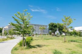 apartment 茅ヶ崎市浜見平13番ほか

住棟配置図