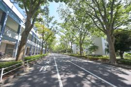 apartment 松戸市常盤平2ほか

住棟配置図