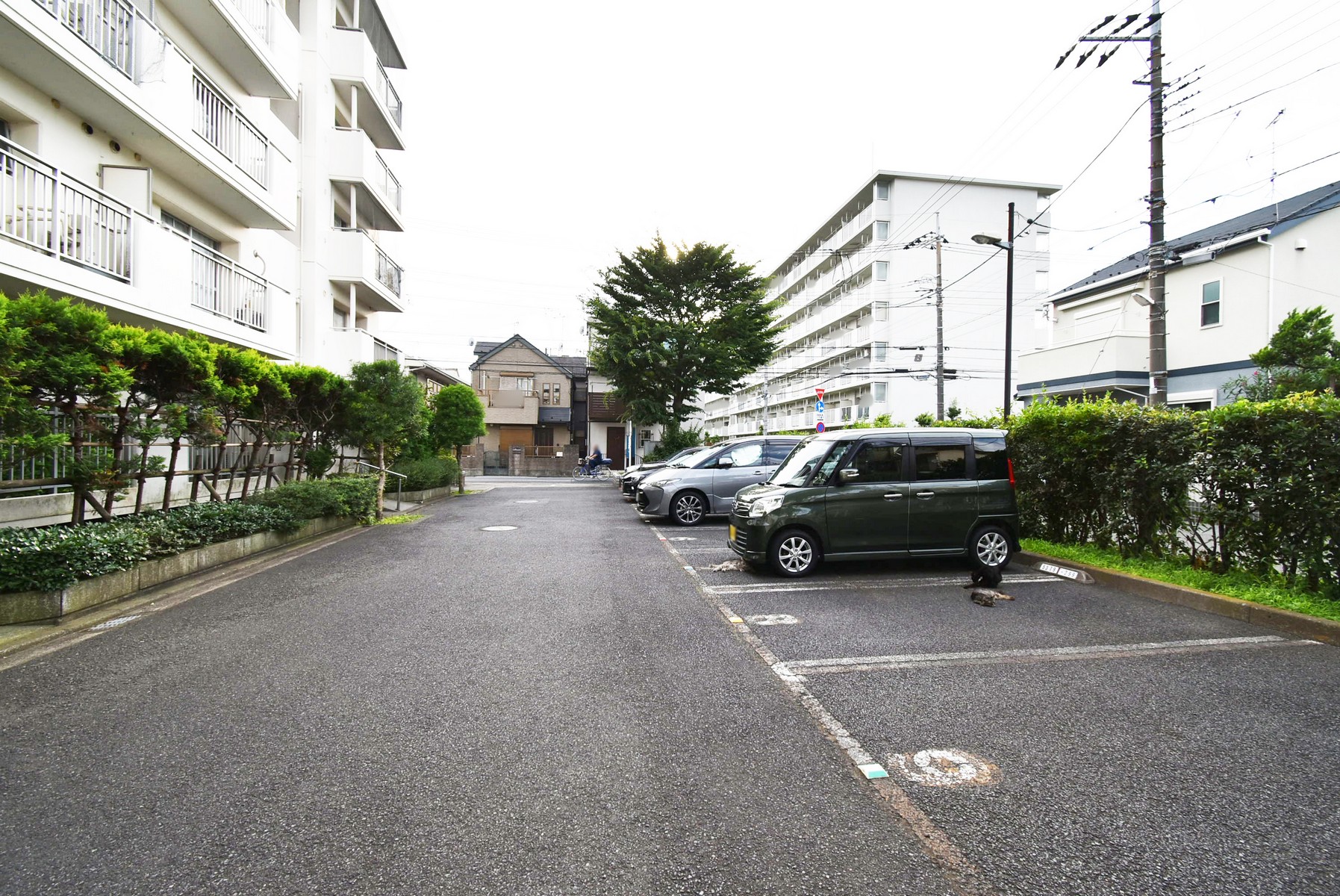 東京都葛飾区にあるUR賃貸住宅 エステート東堀切のその他写真 2/8